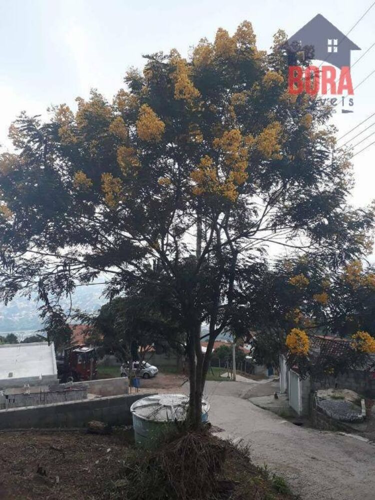 Terreno, 250 m² - Foto 4