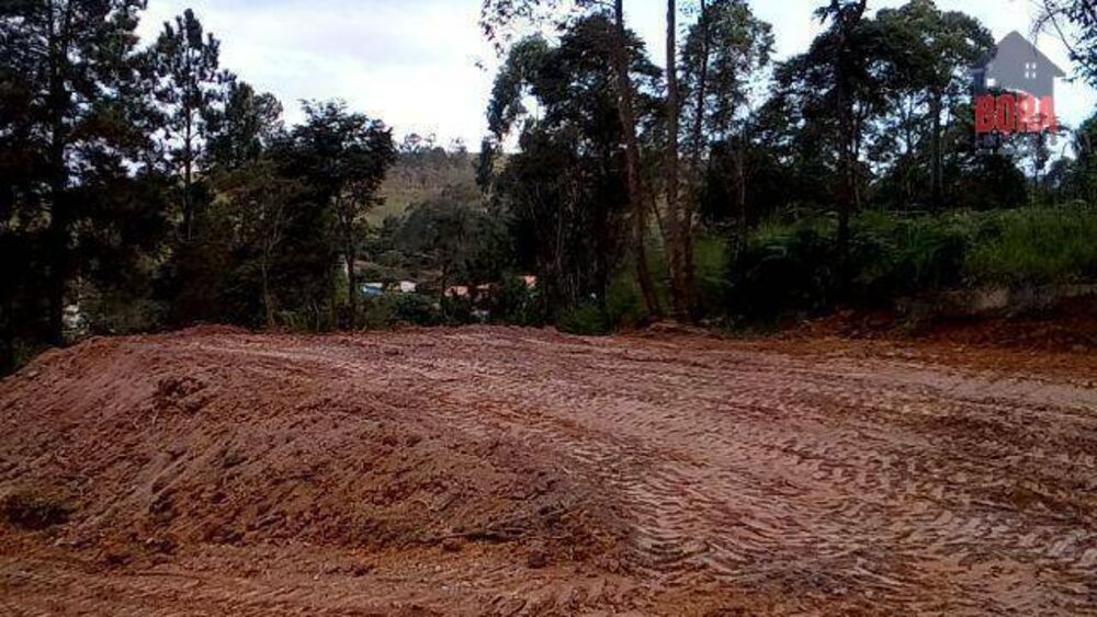 Terreno à venda, 1250M2 - Foto 4