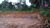 Terreno, 1250 m² - Foto 1