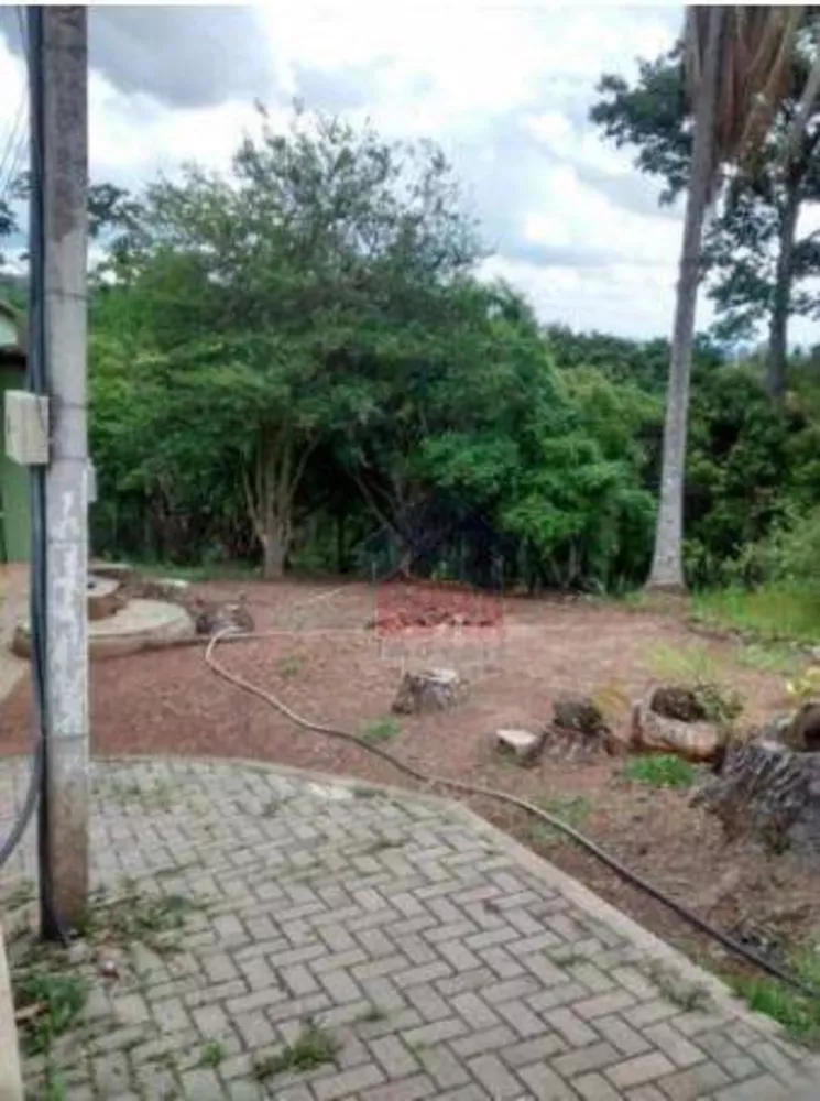 Chácara à venda com 2 quartos, 6000M2 - Foto 4