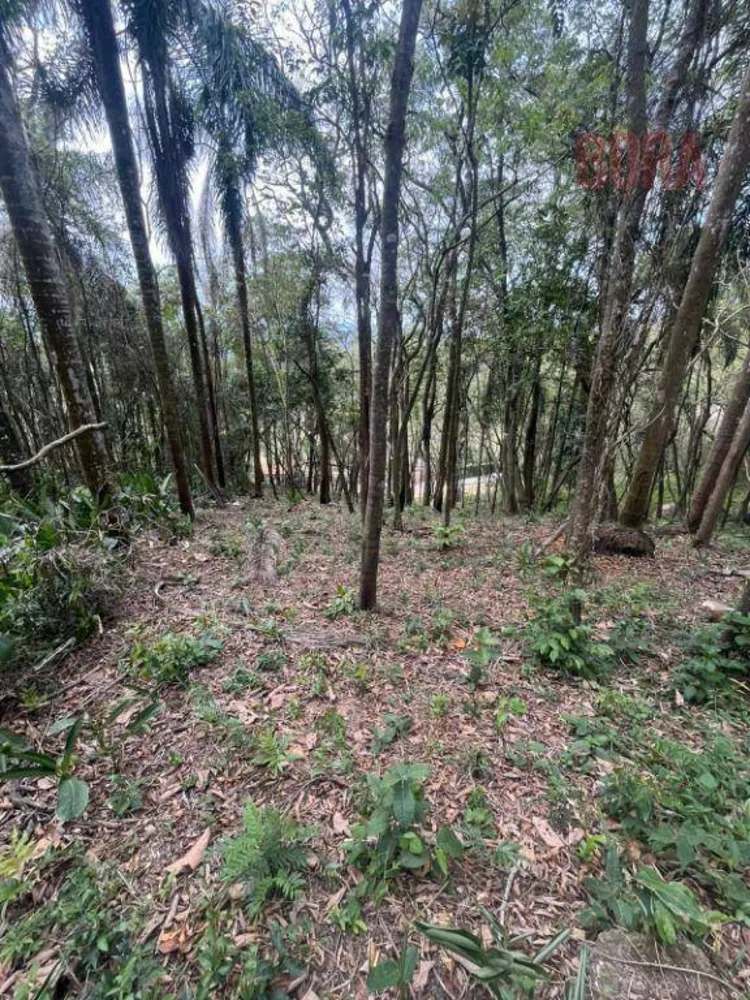 Terreno, 1000 m² - Foto 4