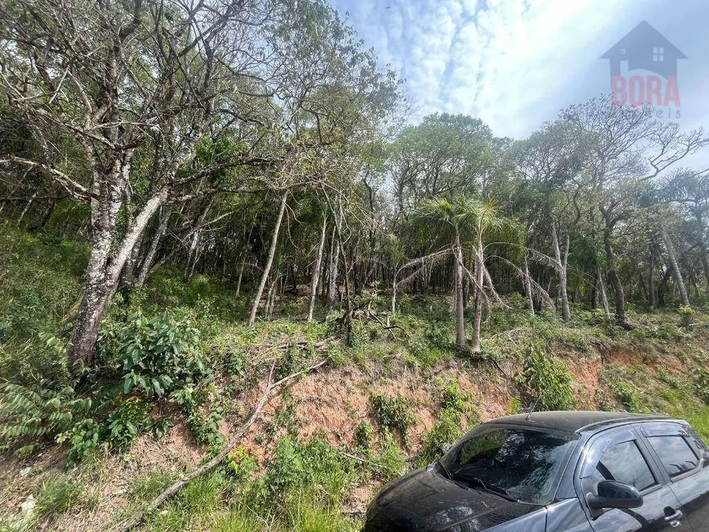 Terreno, 1000 m² - Foto 2