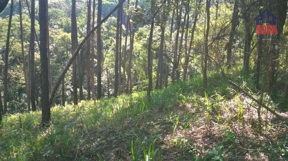 Terreno, 1228 m² - Foto 2