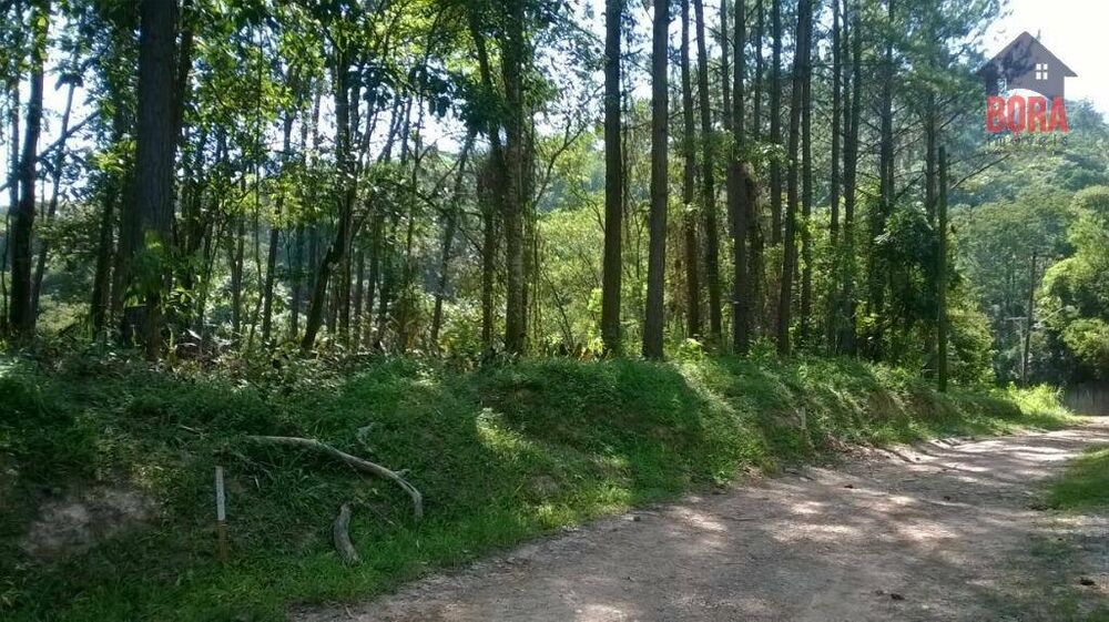 Terreno, 1228 m² - Foto 6