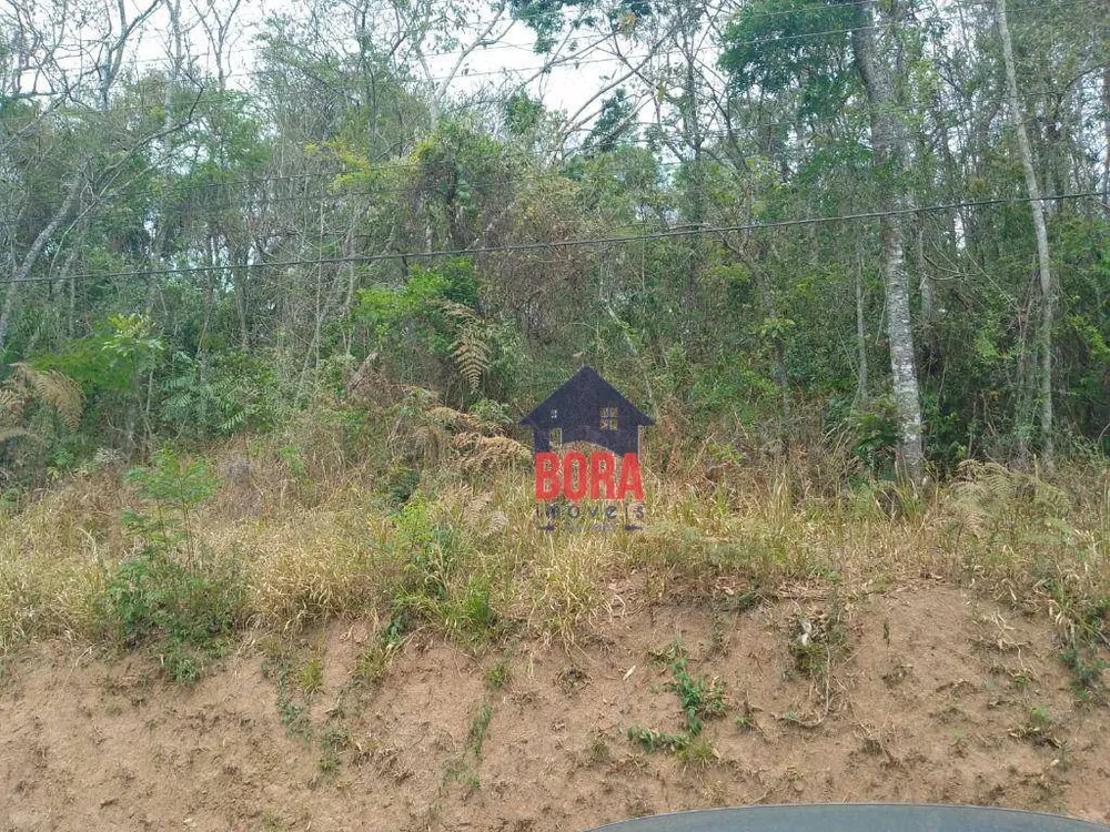 Terreno, 1000 m² - Foto 2