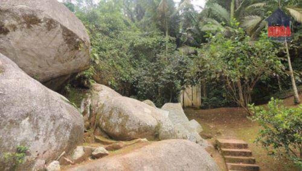 Chácara à venda com 3 quartos, 3600M2 - Foto 7
