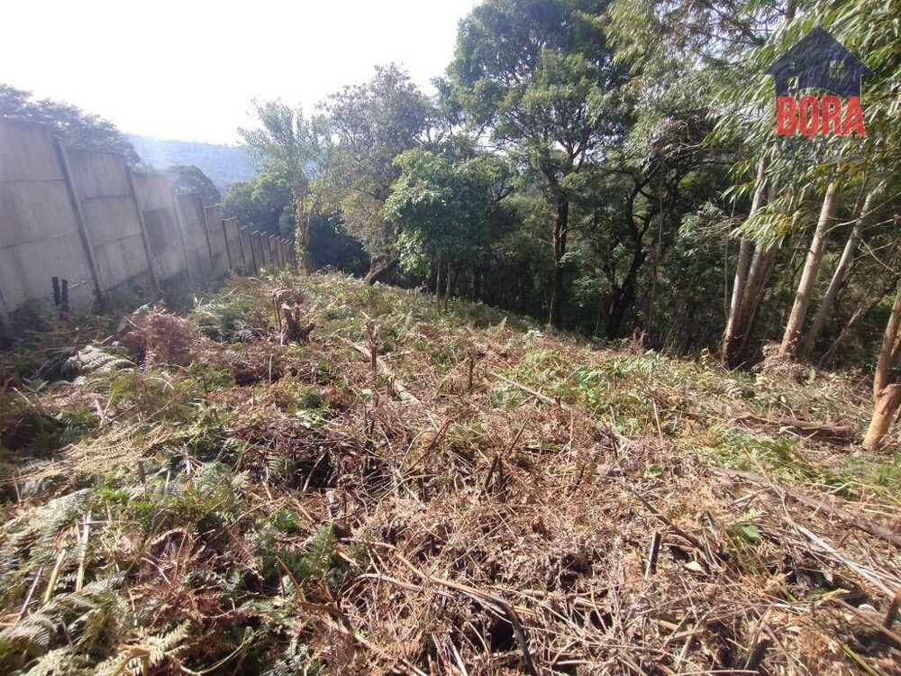 Terreno à venda, 1300M2 - Foto 4