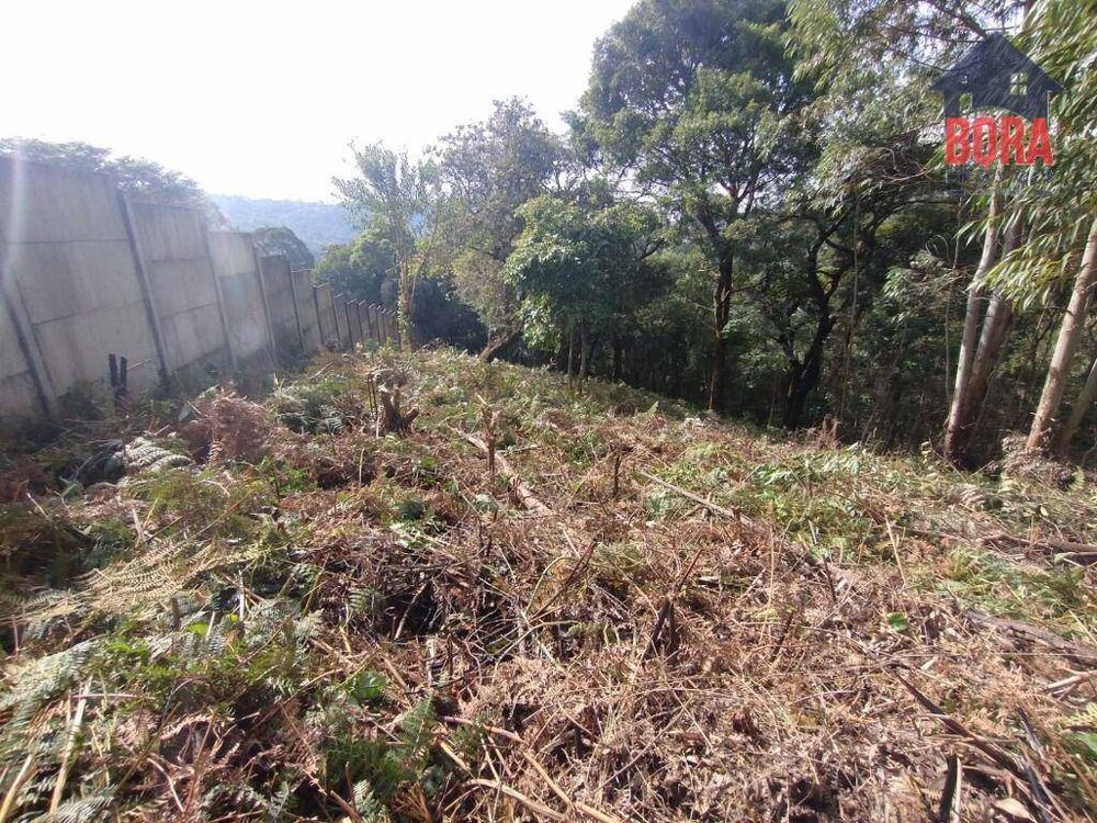 Terreno à venda, 1300M2 - Foto 3