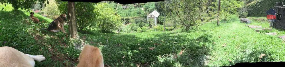Chácara, 3 quartos, 2400 m² - Foto 8
