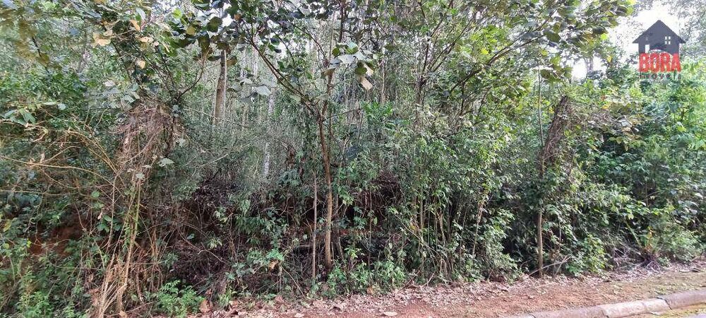 Loteamento e Condomínio, 1250 m² - Foto 3