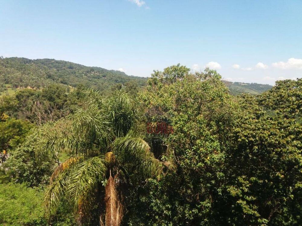 Casa, 4 quartos, 450 m² - Foto 4