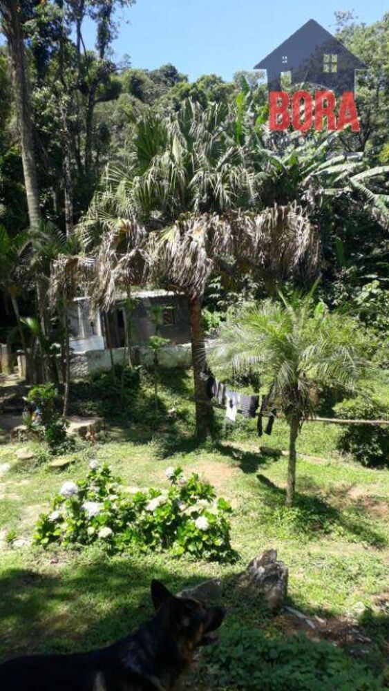 Chácara, 1 quarto, 866 m² - Foto 3