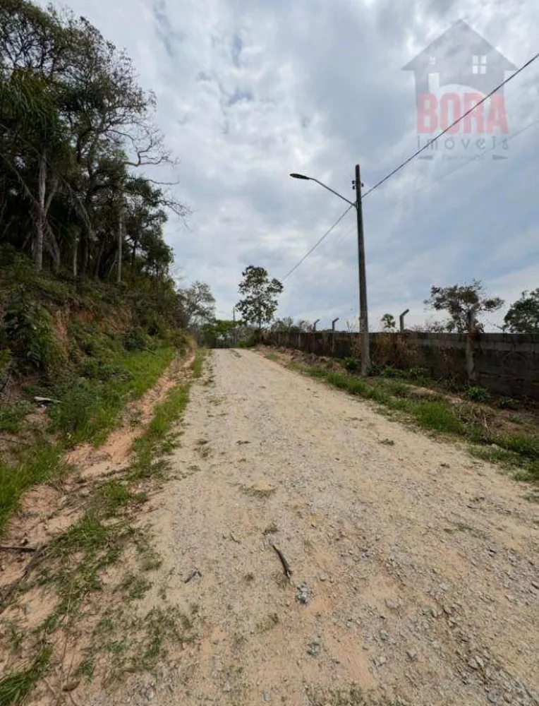 Terreno, 1005 m² - Foto 4