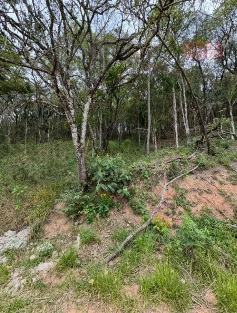 Terreno, 1005 m² - Foto 2