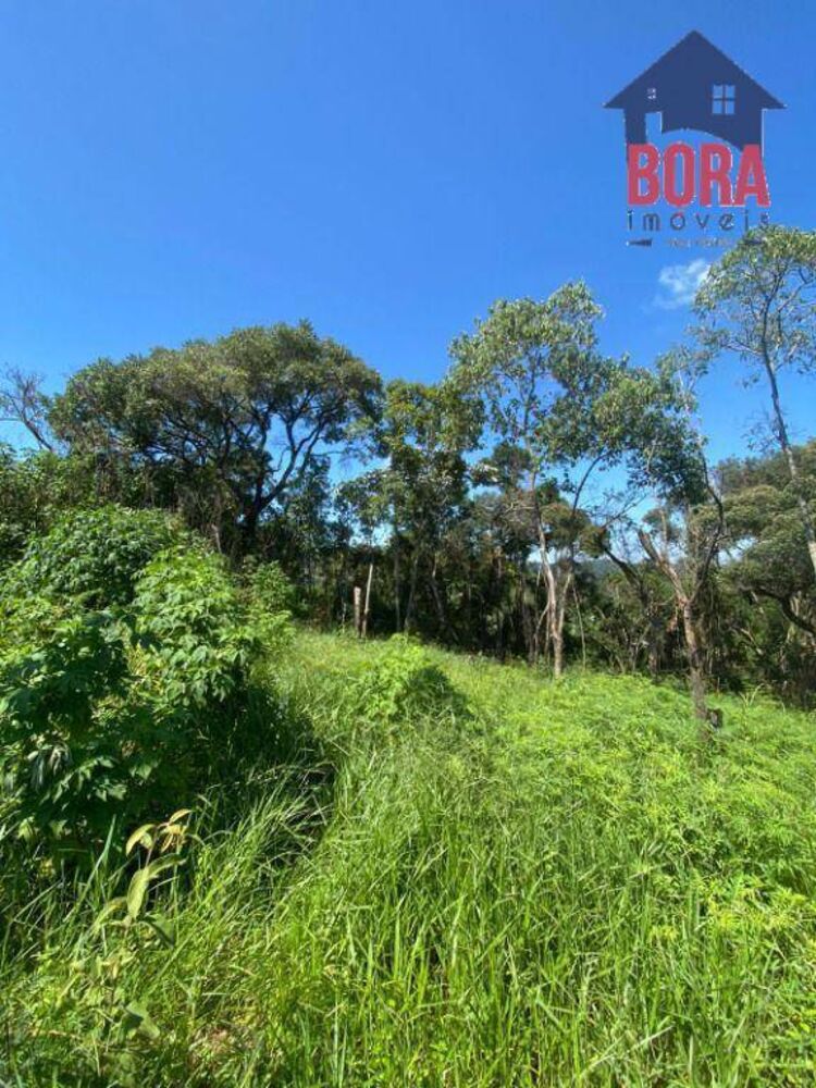 Terreno, 1000 m² - Foto 3