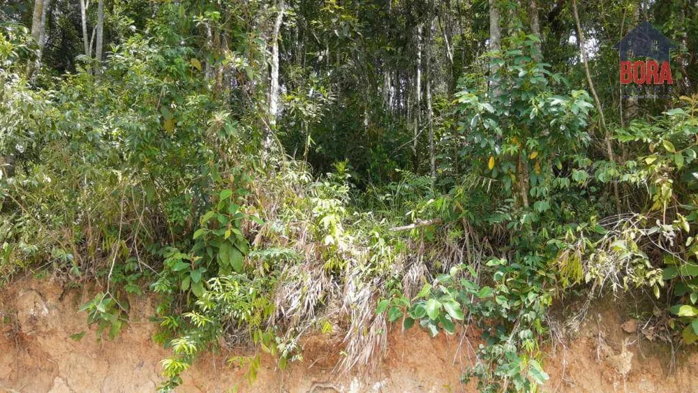 Terreno à venda, 296M2 - Foto 1