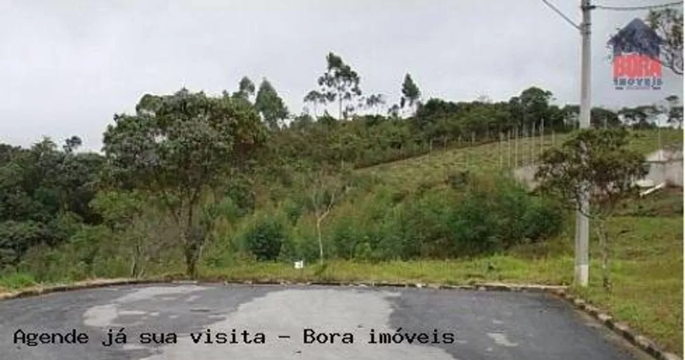 Loteamento e Condomínio à venda, 1345M2 - Foto 4