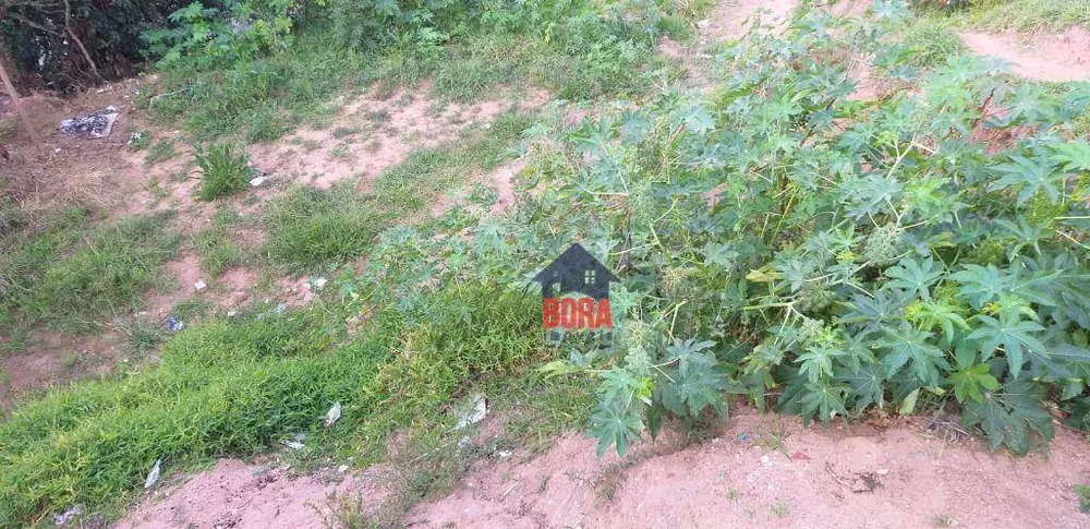 Terreno, 1000 m² - Foto 2