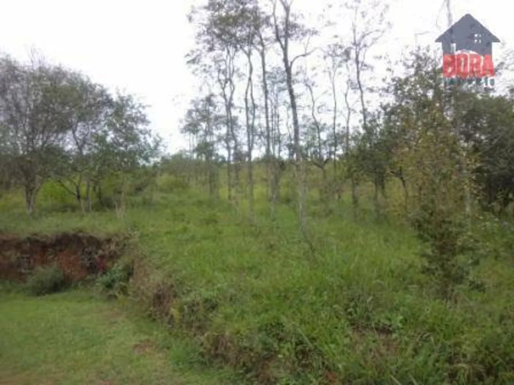 Terreno, 13 hectares - Foto 6