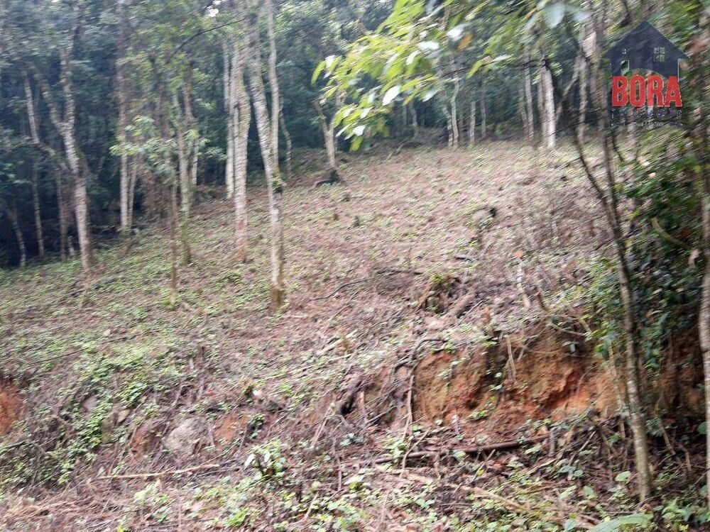 Loteamento e Condomínio, 1250 m² - Foto 2