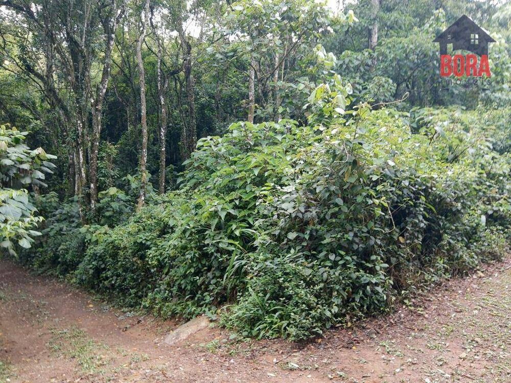 Loteamento e Condomínio à venda, 2800M2 - Foto 1