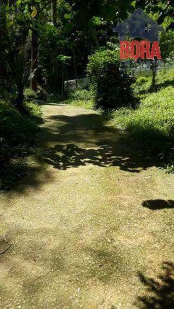 Terreno, 2438 m² - Foto 3