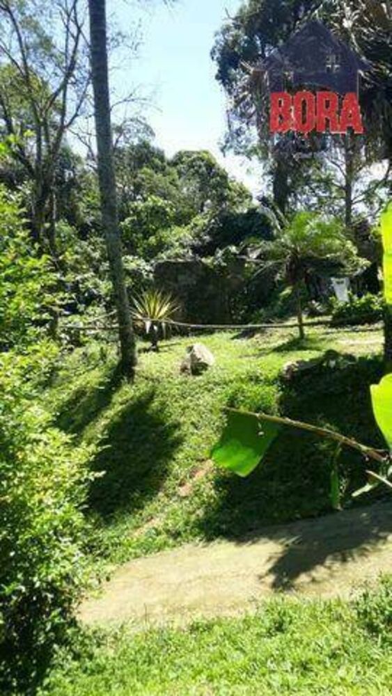 Terreno, 2438 m² - Foto 2