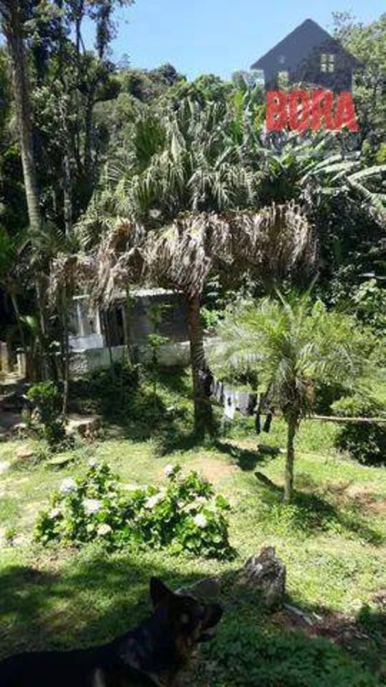 Terreno, 2438 m² - Foto 1