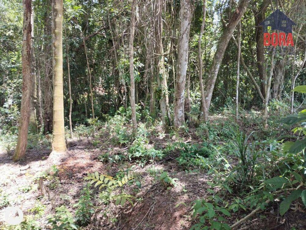 Terreno, 2000 m² - Foto 4