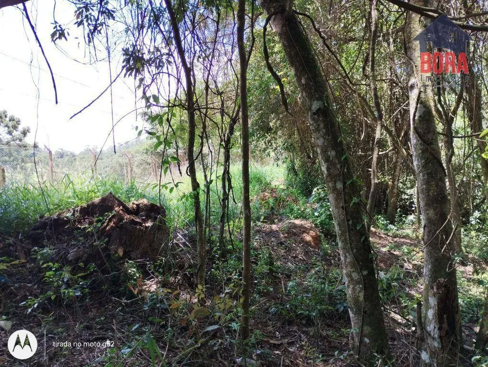 Terreno, 2000 m² - Foto 6