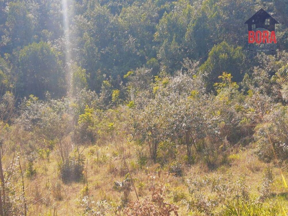 Terreno à venda, 500M2 - Foto 3