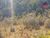 Terreno, 500 m² - Foto 3