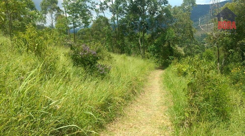 Terreno, 3600 m² - Foto 1