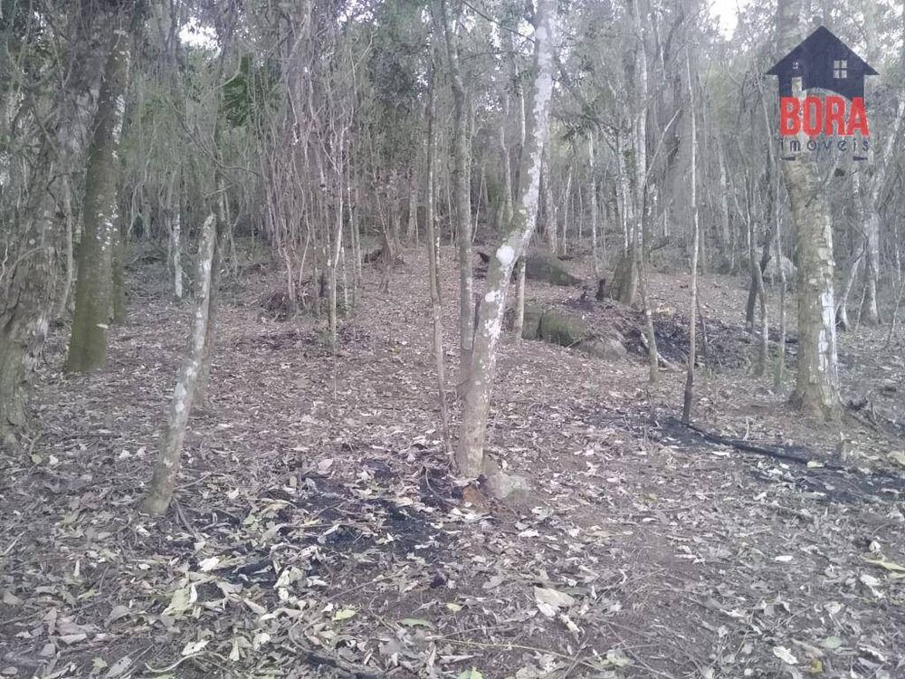 Terreno à venda, 2080M2 - Foto 1