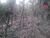 Terreno, 2080 m² - Foto 2