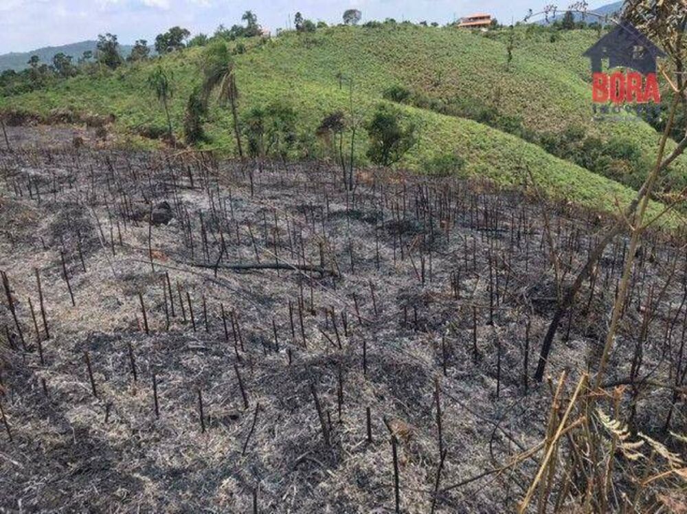 Terreno à venda, 7000M2 - Foto 4