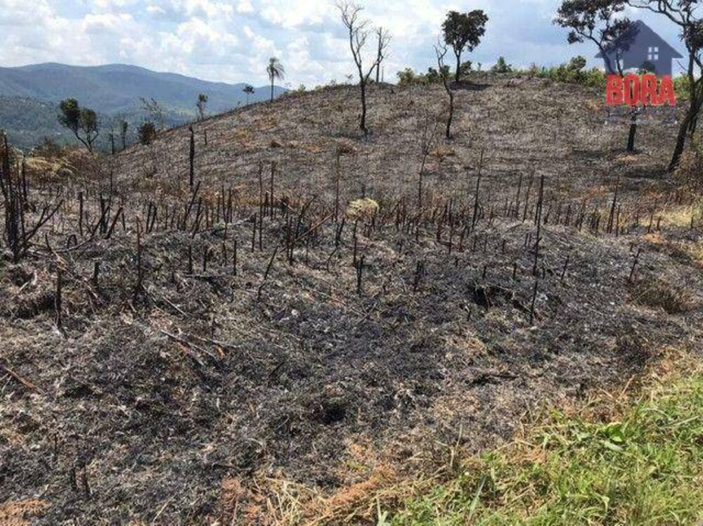 Terreno à venda, 7000M2 - Foto 11