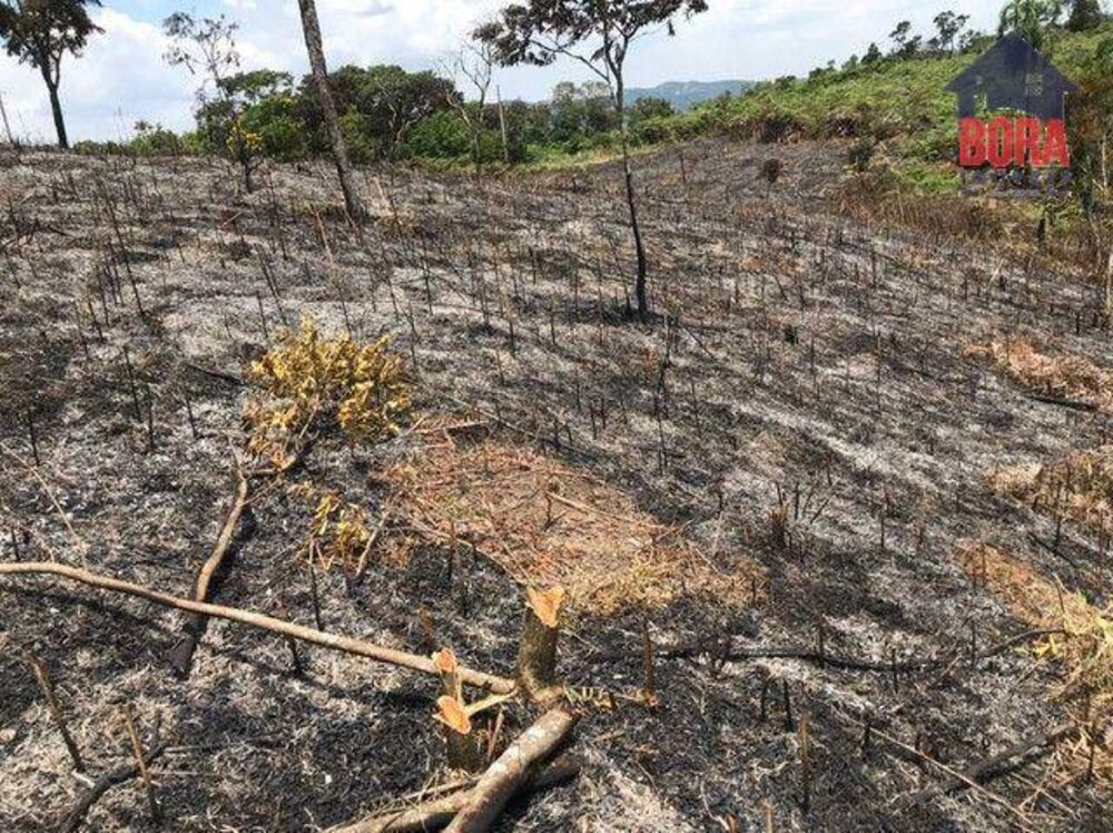 Terreno à venda, 7000M2 - Foto 9