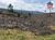 Terreno, 7000 m² - Foto 5