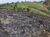Terreno, 7000 m² - Foto 4