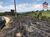 Terreno, 7000 m² - Foto 8