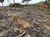 Terreno, 7000 m² - Foto 9