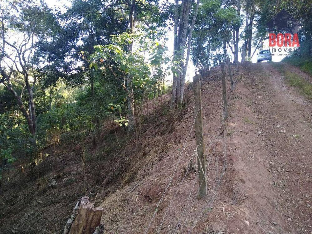 Terreno, 5000 m² - Foto 2
