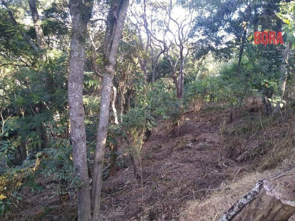 Terreno, 5000 m² - Foto 8
