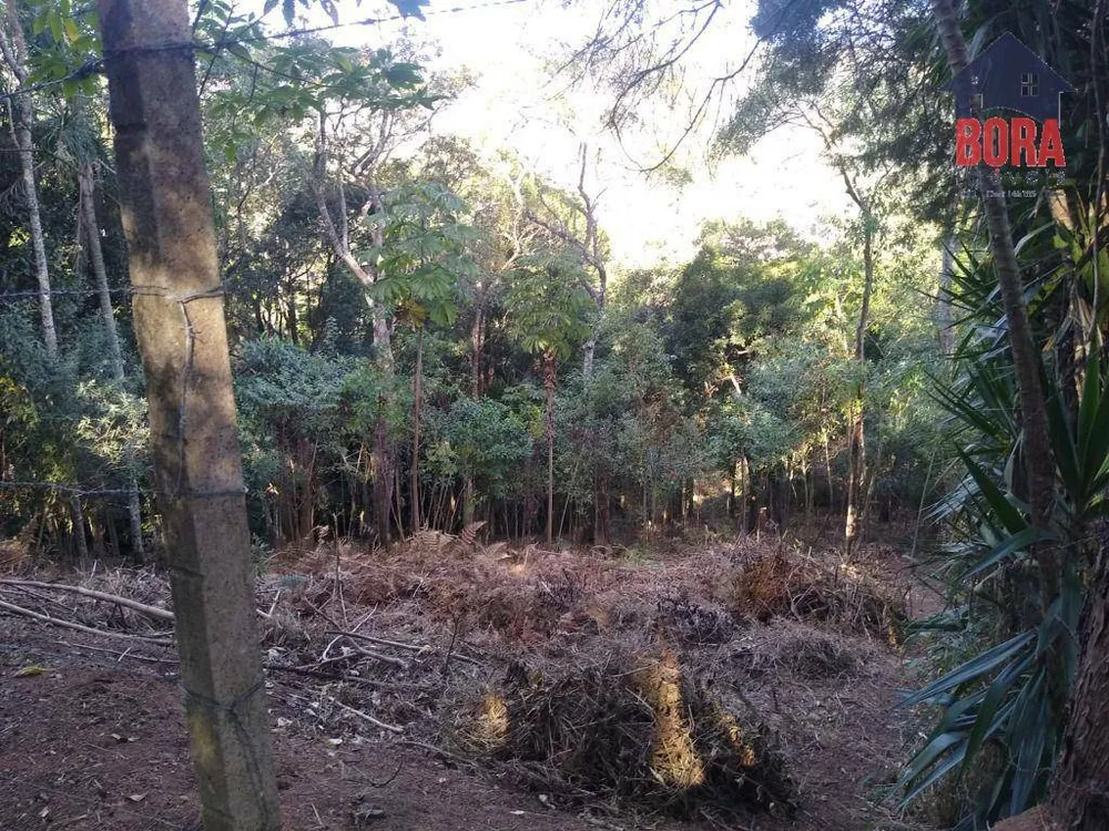 Terreno, 5000 m² - Foto 11
