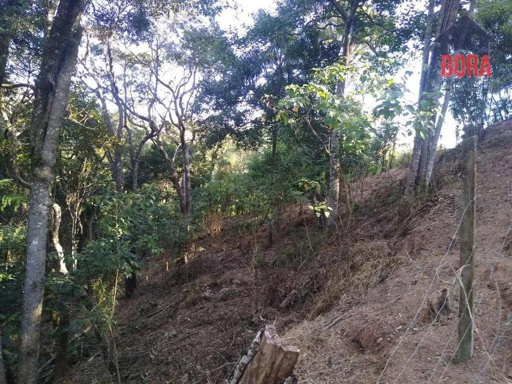 Terreno, 5000 m² - Foto 7