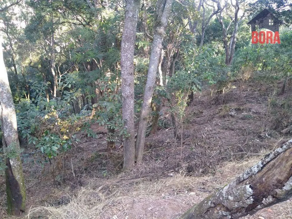 Terreno, 5000 m² - Foto 12