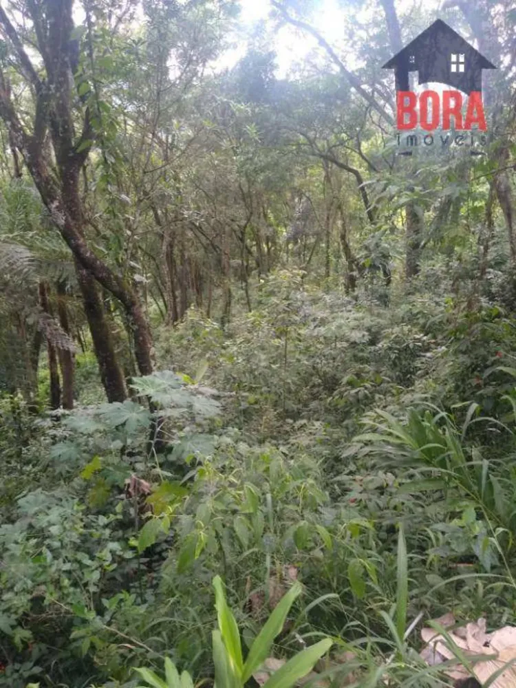 Terreno, 5000 m² - Foto 2