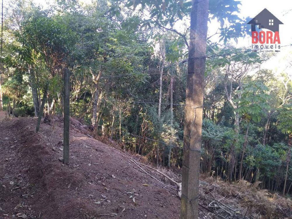 Terreno, 5000 m² - Foto 3