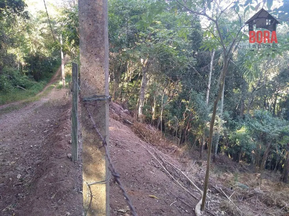 Terreno, 5000 m² - Foto 5